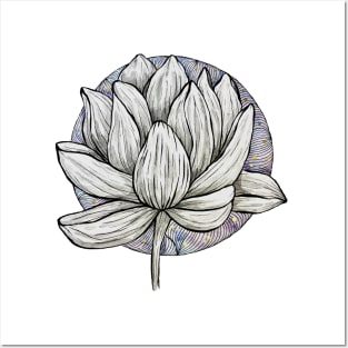 Lotus Flower Abstract VI Posters and Art